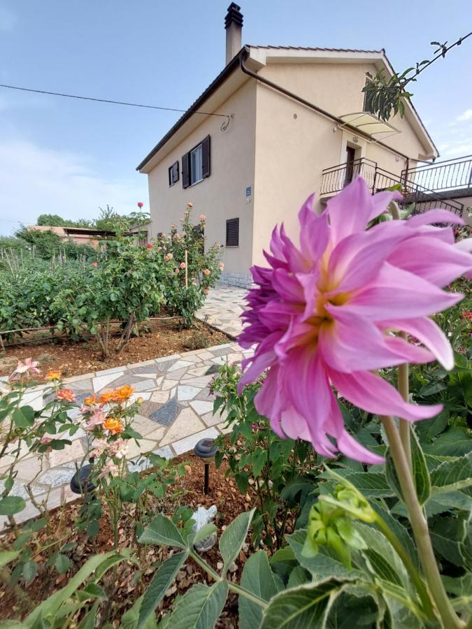 Linardići Apartments Rusin מראה חיצוני תמונה